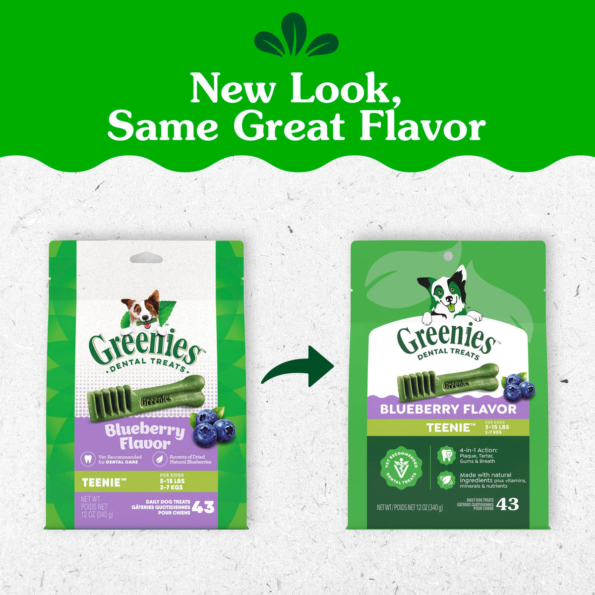 Greenies Teenie Natural Dental Dog Treats – Fresh Mint Flavor, 43 Count