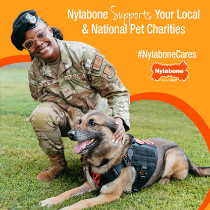 Nylabone Power Chew toys in bacon, chicken and peanut butter flavors