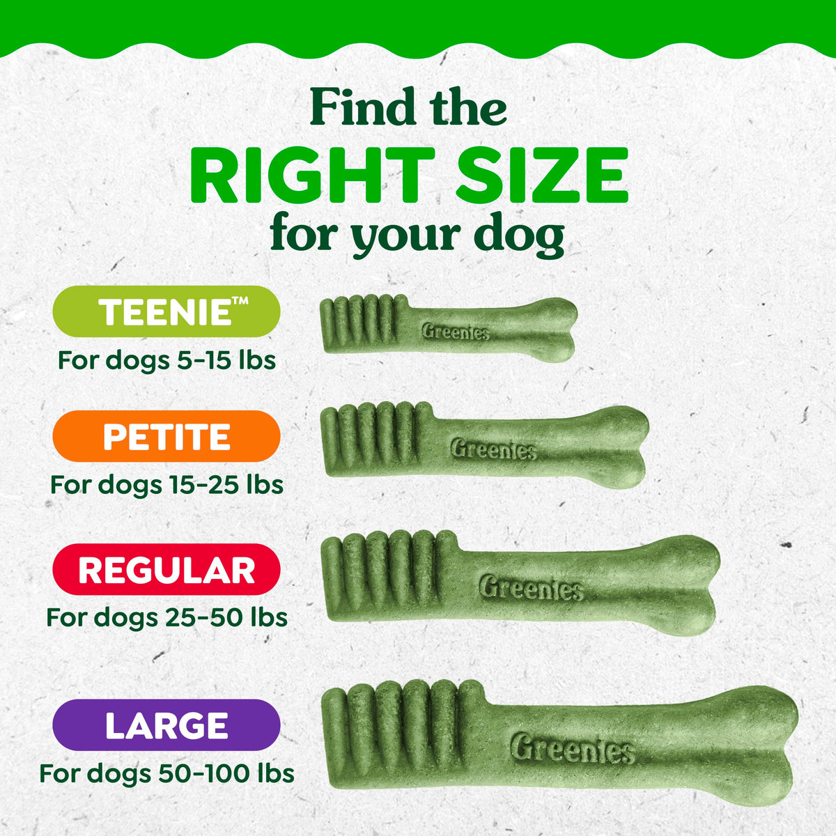 Greenies Teenie Natural Dental Dog Treats – Fresh Mint Flavor, 43 Count