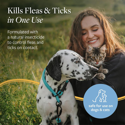 Veterinary Formula Flea & Tick Shampoo for Dogs and Cats, 16 oz