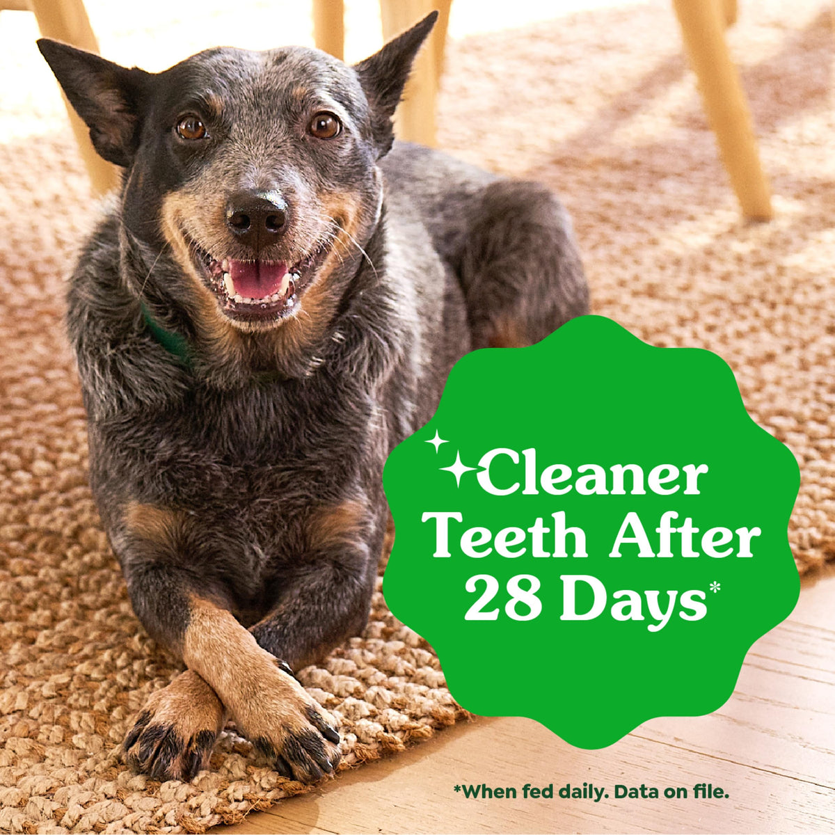Greenies Teenie Natural Dental Dog Treats – Fresh Mint Flavor, 43 Count