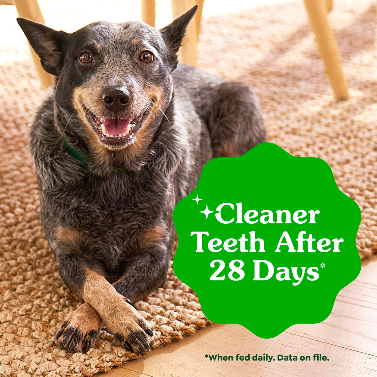 Greenies Teenie Natural Dental Dog Treats – Fresh Mint Flavor, 43 Count