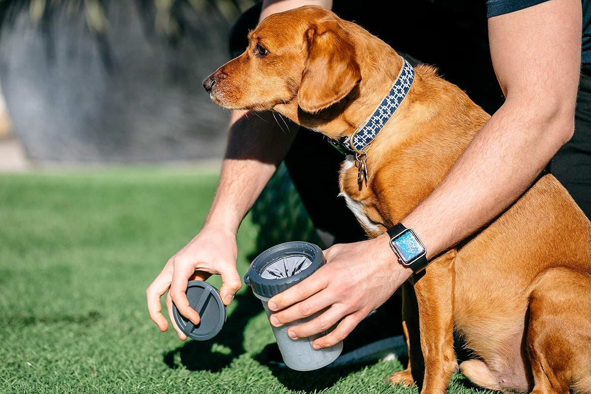 Washing a dog's paw in a Dexas MudBuster paw washer