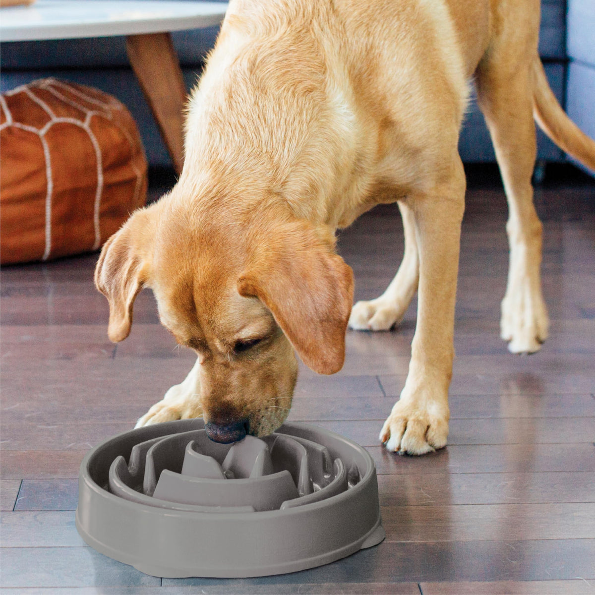 Slow Feeder Dog Bowl Blue – product in hand view