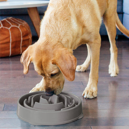 Slow Feeder Dog Bowl Blue – product in hand view