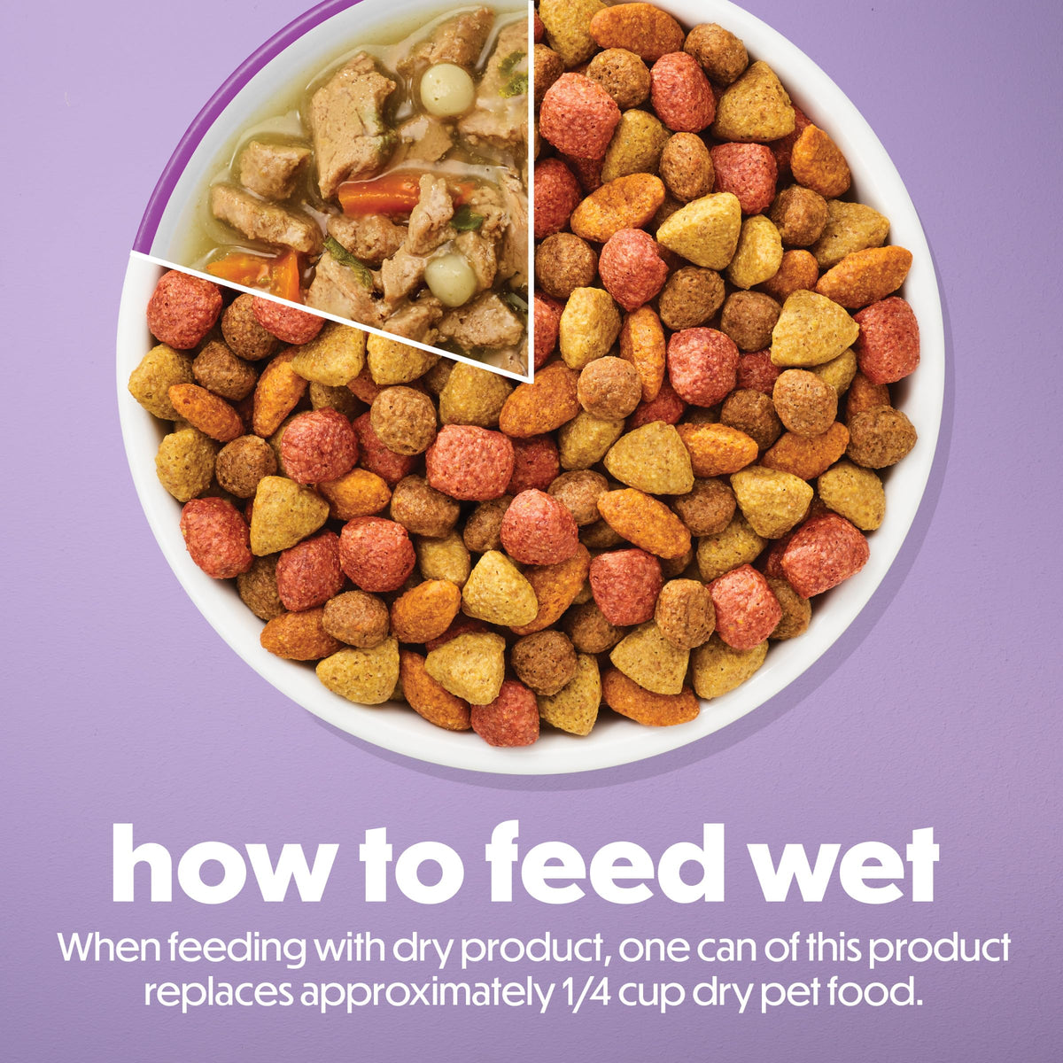 Purina Beneful Kitchen Creations Lamb Wet Dog Food in Sauce, 12 Cans