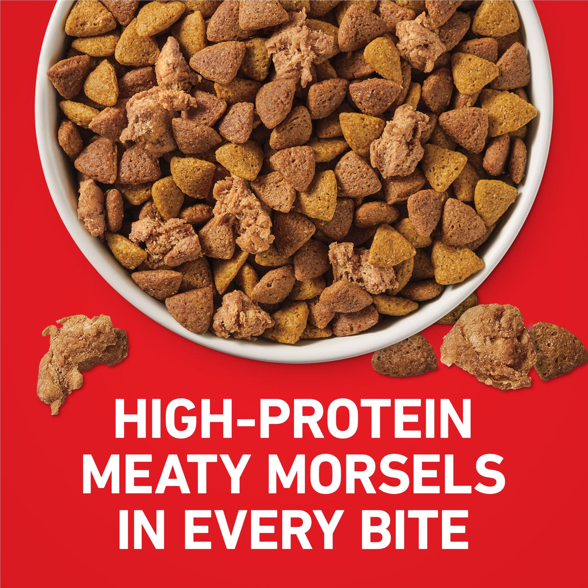 Purina ONE Lamb & Rice Formula Dry Dog Food for Digestive Support