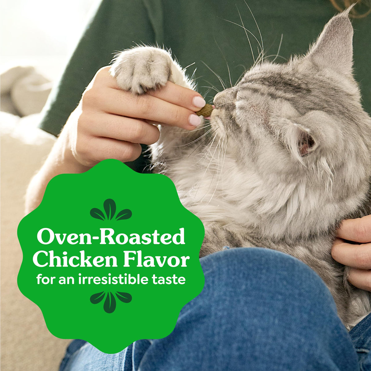 Feline Greenies Dental Treats – product in hand view