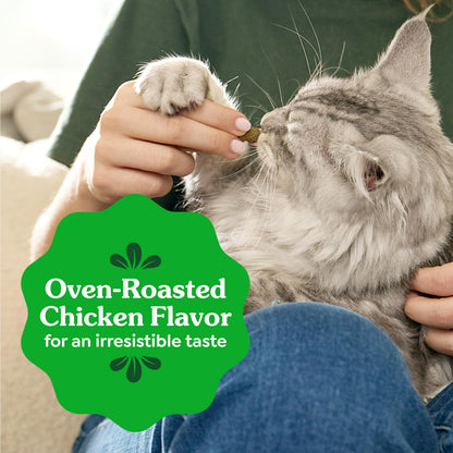 Feline Greenies Dental Treats – product in hand view