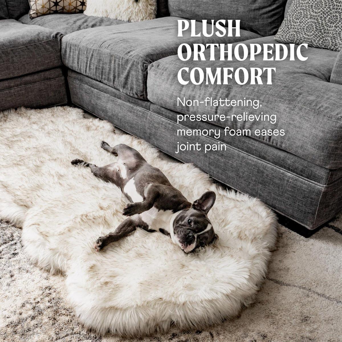 PAW PupRug Orthopedic Memory Foam Dog Bed – White/Brown, 40 x 25 in