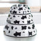 Dairy cattle