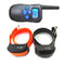 Black  Orange   For 2 Dogs