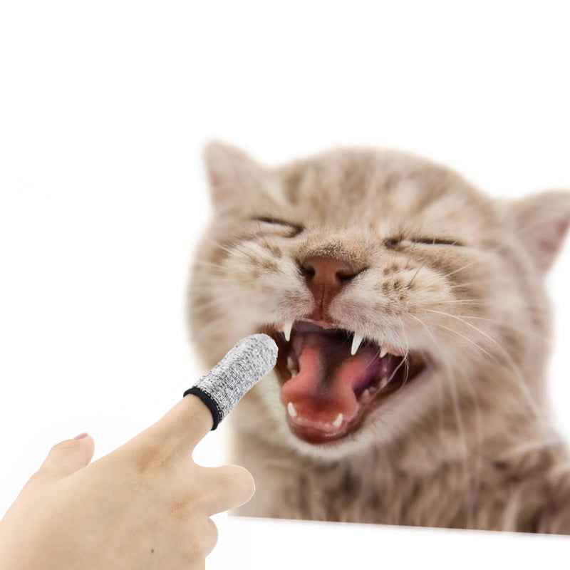 Pet Teeth Cleaning Supplies Dogs In Addition To Bad Breath Cat Brushing Finger Set Cleaning Tools Cat And Dog Finger Toothbrush