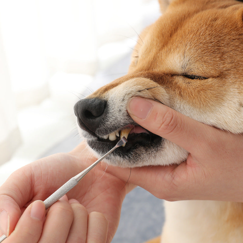 Pet Dental Care Pen for Dogs and Cats Cleaning Tool