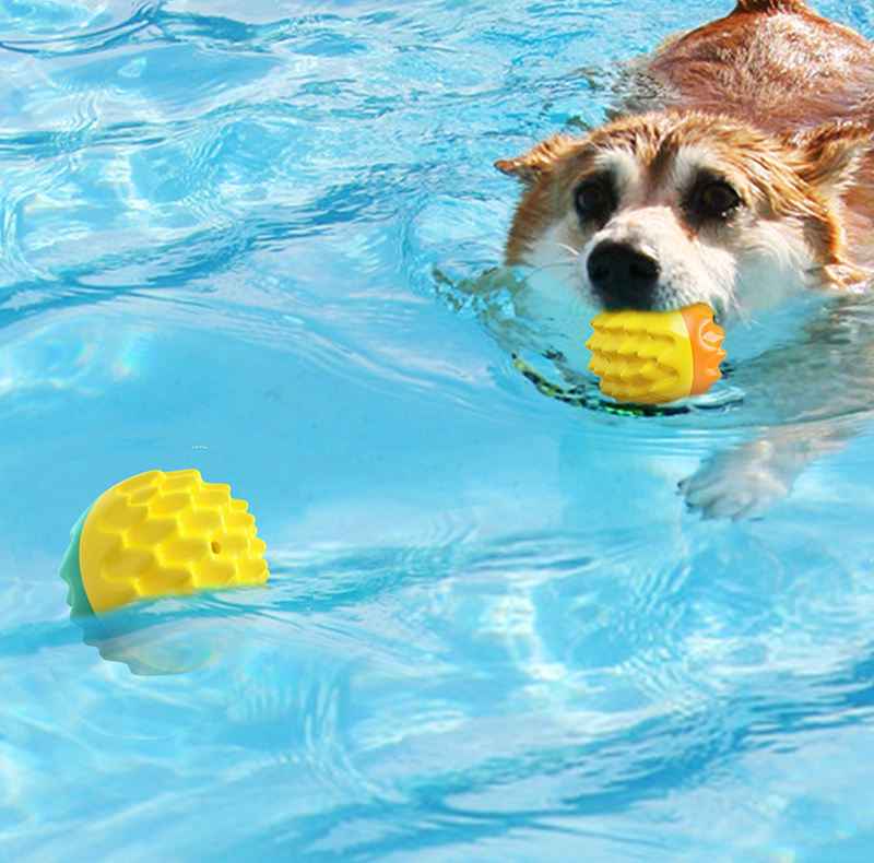 Dog Toy Training Teeth Grinding Ball Speaking Toothbrush Dog Outdoor Interaction