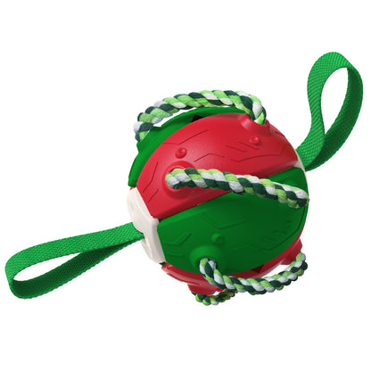 Pet Supplies Throwing Frisbee Outdoor Training Interactive Frisbee Football Dog Toy