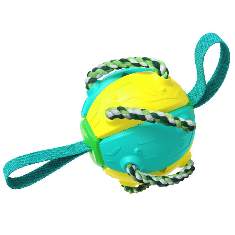 Pet Supplies Throwing Frisbee Outdoor Training Interactive Frisbee Football Dog Toy