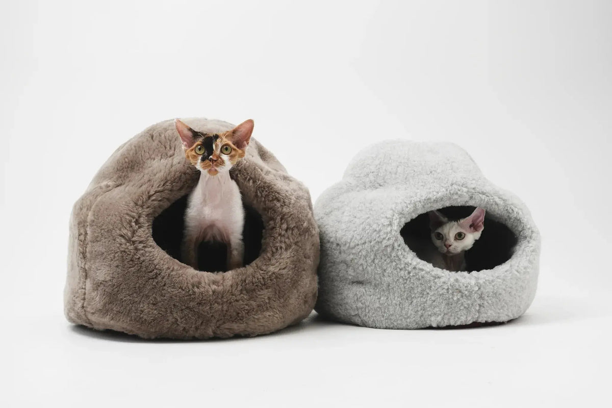 Nest Natural Woolen Pet Bed - White