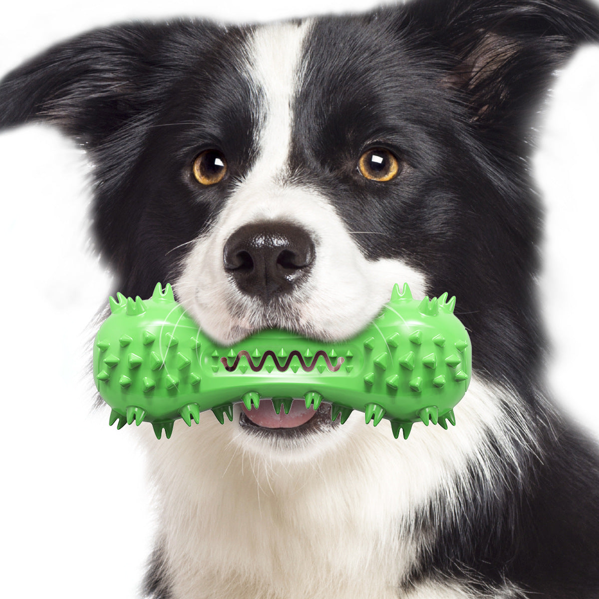 Dog Toothbrushes Dog Voice Molar Sticks Resistant To Gnawing Teeth Cleaning Bones Pet Toys