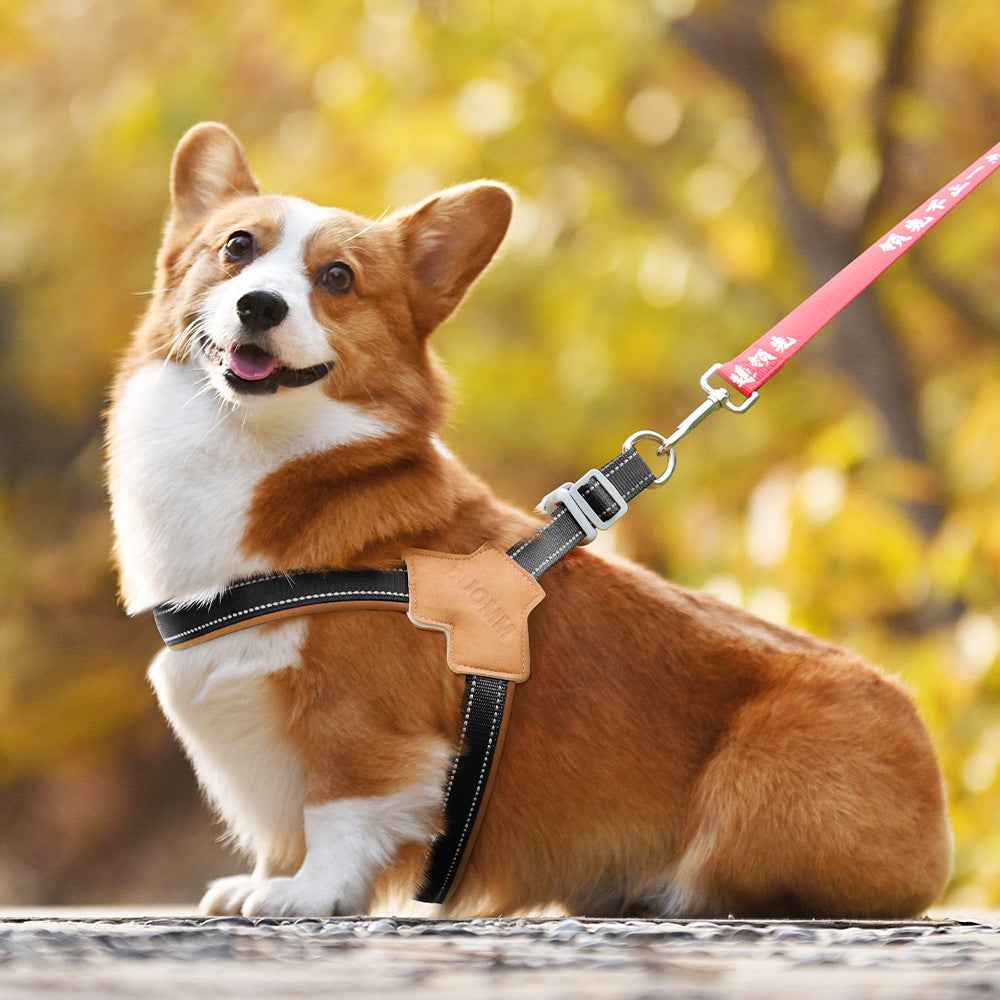 Dog Harness Chest Strap for Small and Medium Dogs, Reflective Leash for Outdoor Walking, Anti-Pull Design for Corgi, Bichon