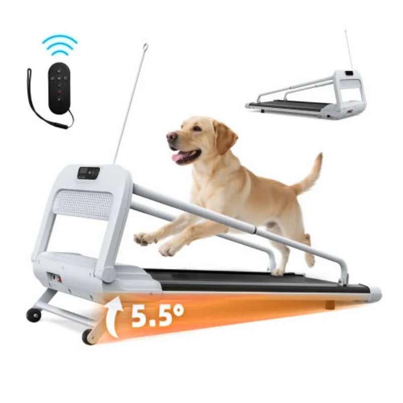 GP03 Foldable Electric Dog Treadmill – 2.5HP Motor with LED Display & Adjustable Speed