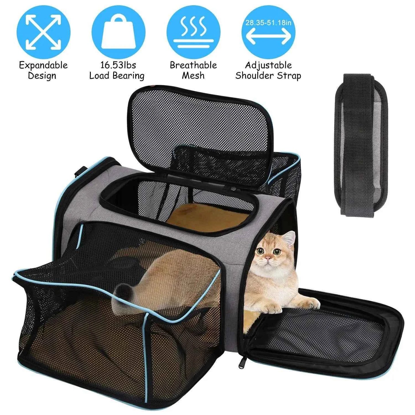DB Medium-Size Expandable Zipper Eco-Friendly Pet Carrier Airline Approved Cat Dog Collapsible Soft Bag Removable Fleece Pad