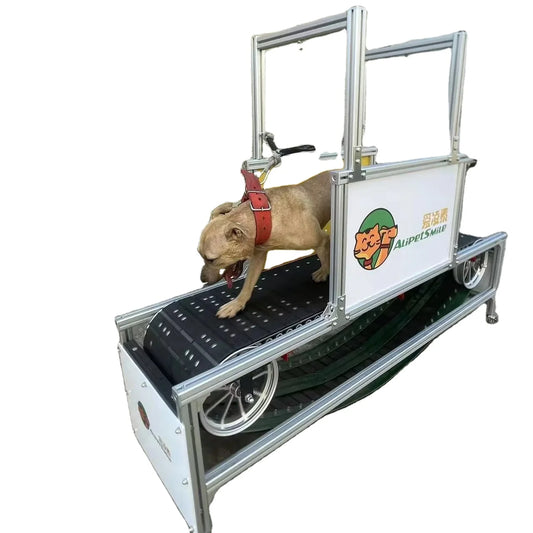 high quality aluminum Dog Walking Machine Pet Training treadmill aluminum dog Treadmill for large dogs