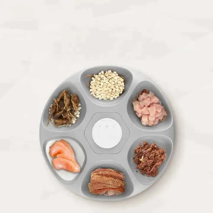 6-Meal Smart WiFi Automatic Pet Feeder – App-Controlled Timed Food Dispenser for Cats & Dogs