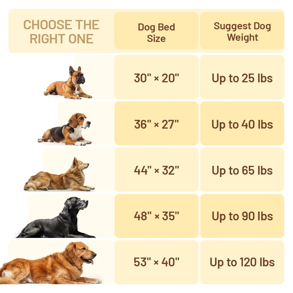 Orthopedic Memory Foam Pet Sofa – Scratch‑Resistant & OEKO‑Certified