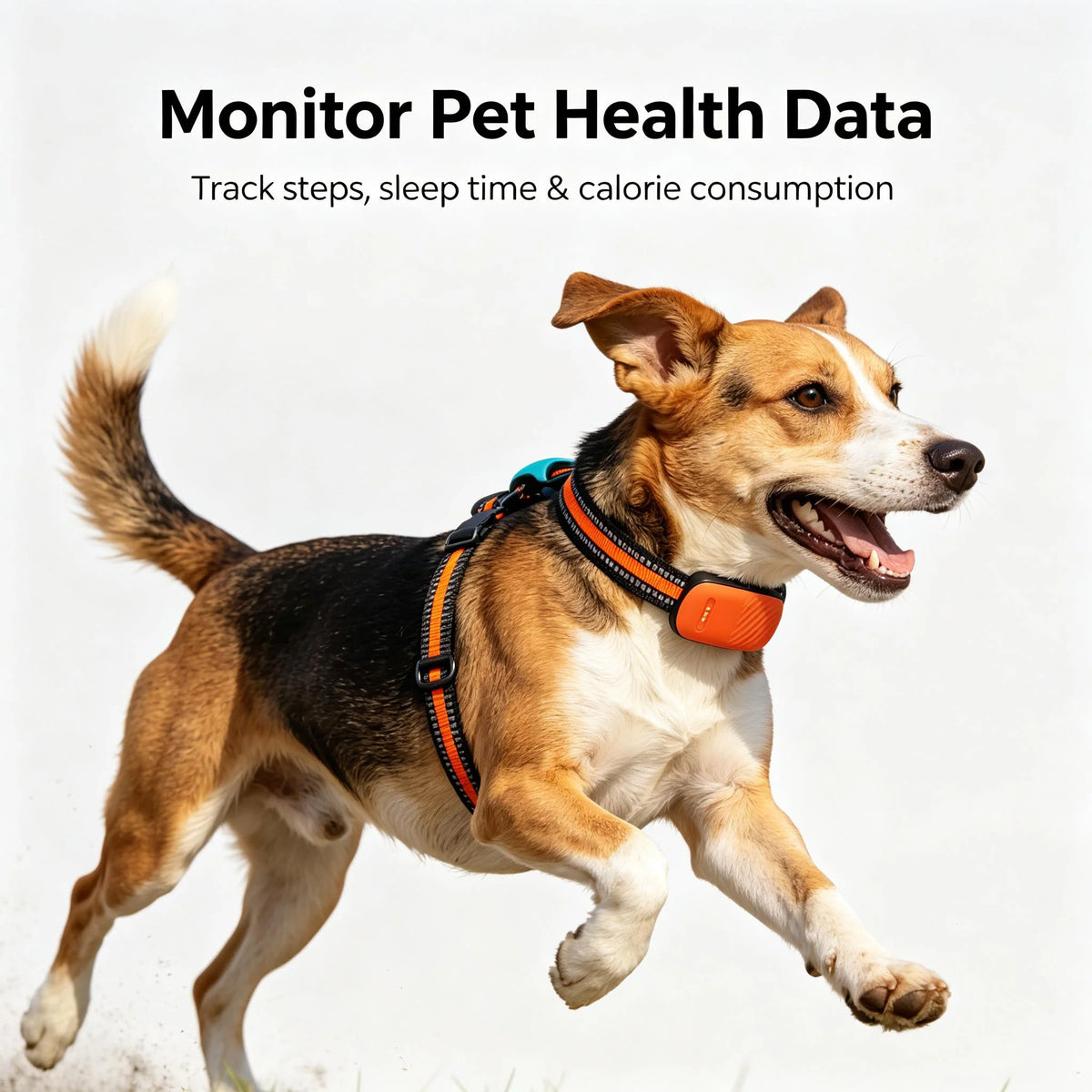 4G GPS Pet Tracker Collar for Dogs & Cats – Real-Time Tracking