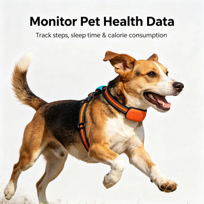 4G GPS Pet Tracker Collar for Dogs & Cats – Real-Time Tracking