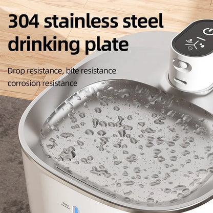 4L Stainless Steel Automatic Pet Water Fountain for Dogs and Cats – Indoor/Outdoor