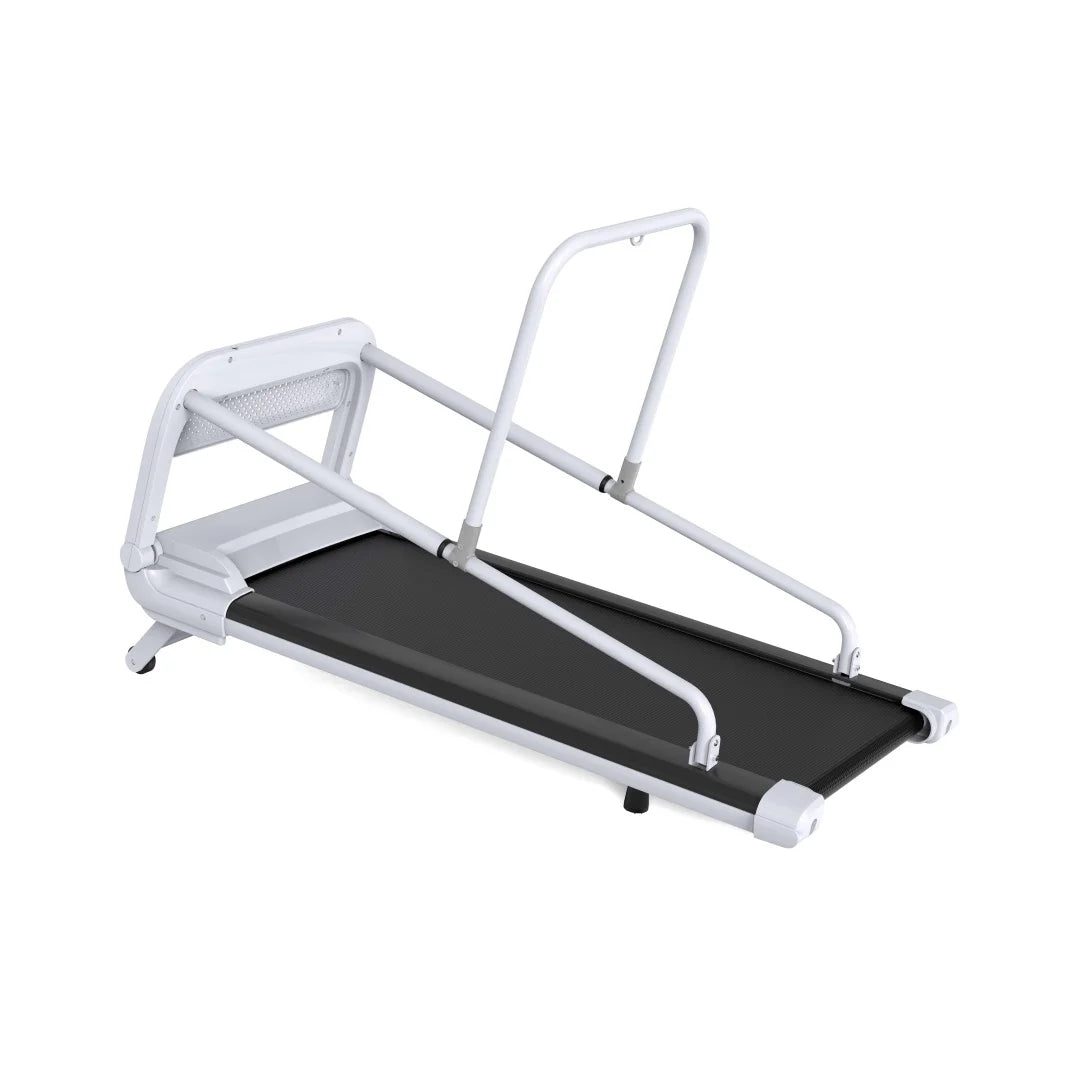 GP03 Foldable Electric Dog Treadmill – 2.5HP Motor with LED Display & Adjustable Speed