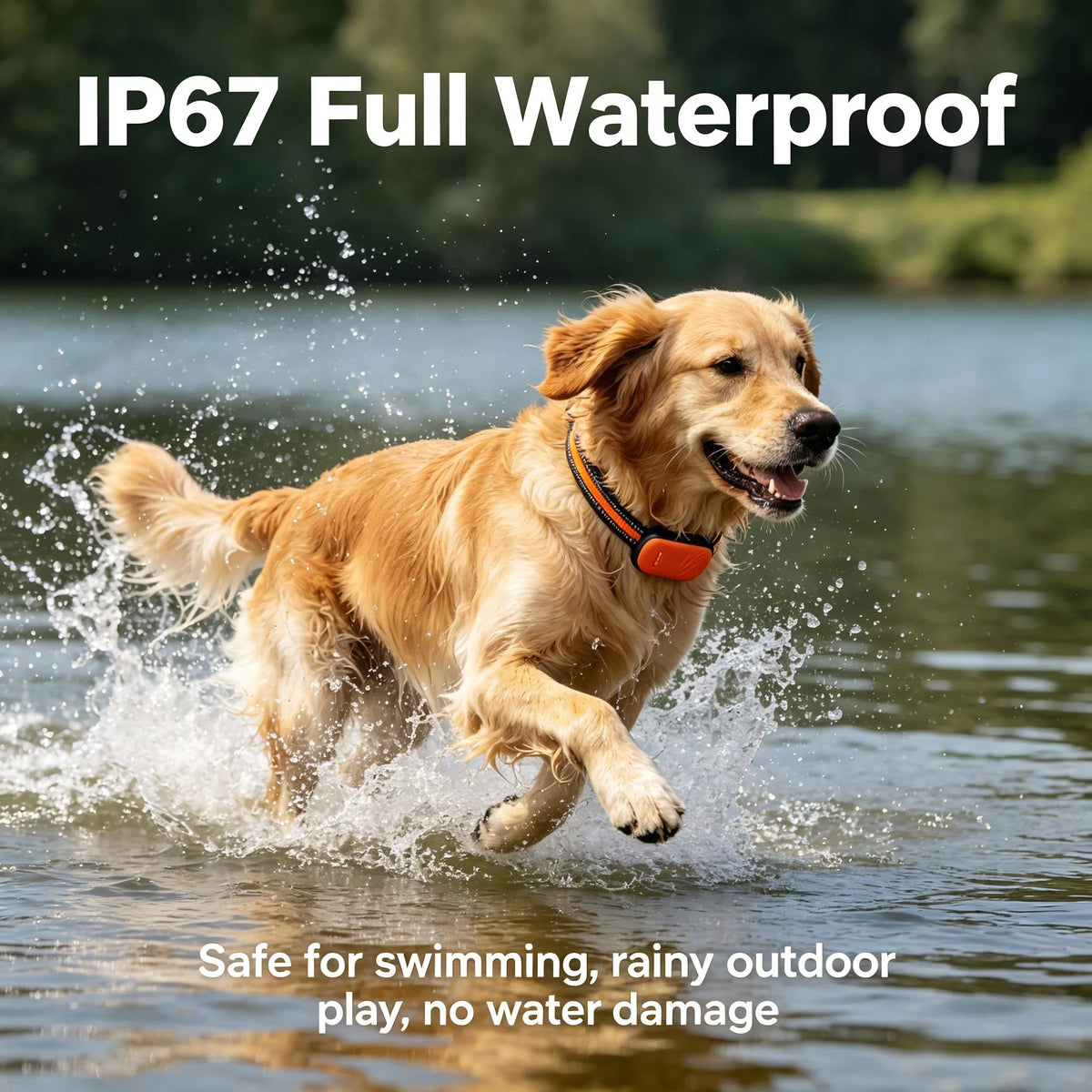 4G GPS Pet Tracker Collar for Dogs & Cats – Real-Time Tracking