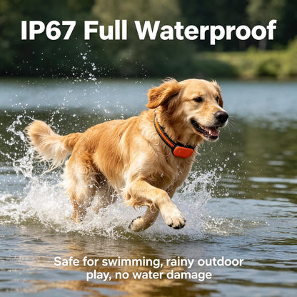 4G GPS Pet Tracker Collar for Dogs & Cats – Real-Time Tracking