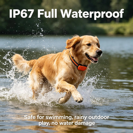 4G GPS Pet Tracker Collar for Dogs & Cats – Real-Time Tracking