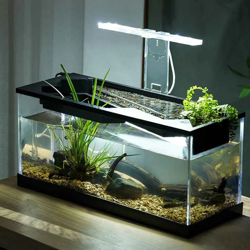 Modern Eco‑Friendly Plastic Desktop Aquarium – Small Rectangular Fish Tank