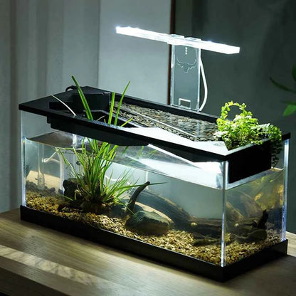 Modern Eco‑Friendly Plastic Desktop Aquarium – Small Rectangular Fish Tank
