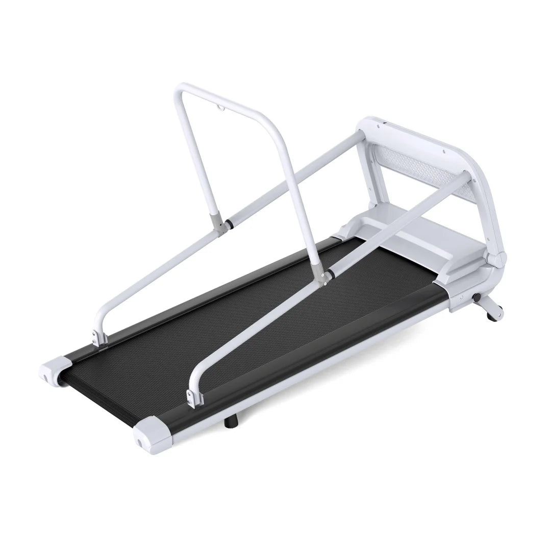 GP03 Foldable Electric Dog Treadmill – 2.5HP Motor with LED Display & Adjustable Speed