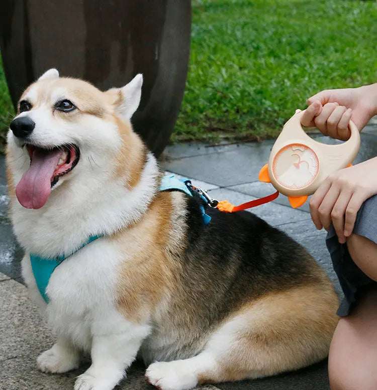 Nylon Retractable Dog Leash with 360° Rotating Tangle‑Free Design & Reflective Safety