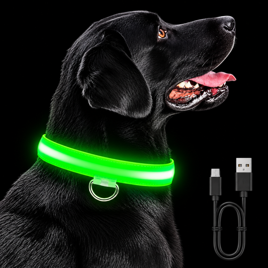 LED Luminous Collar 3 Modes USB Rechargeable – main product view