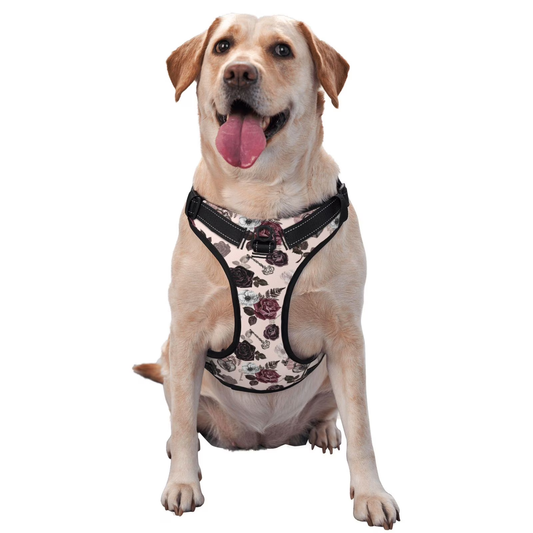 Pet Clothes Vest Dogs Tshirts Dollar Sign Clothing Wedding Clothes Gold Pet Products Dog