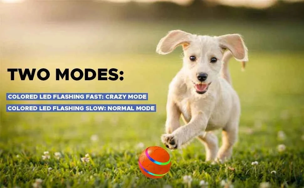 MART Interactive Smart Pet Ball – Remote Control, Flashing, Rolling & Jumping