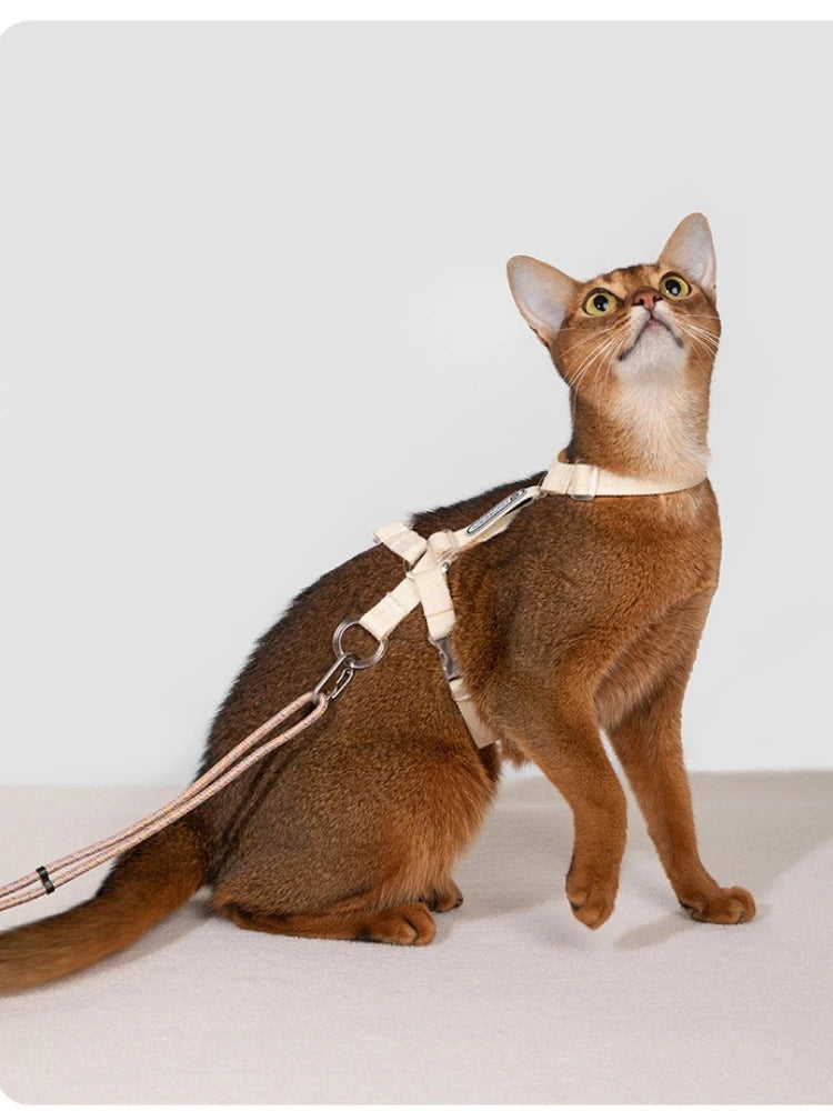 Adjustable H-Style Cat Harness Set, 38g Lightweight Escape Proof Breathable Kitten, Reflective & 120-160cm Leash
