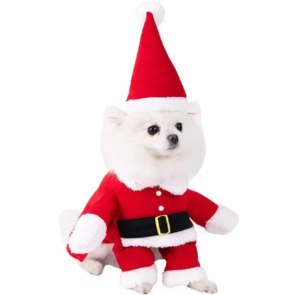 Funny Halloween Pet Costume for Small/Medium Dogs & Cats - Adjustable Puppy Cosplay for French Bulldogs, Chihuahuas & More