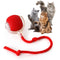 red Pet Ball Toy