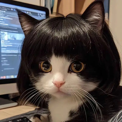Curly Hair Pet Wig for Dogs & Cats