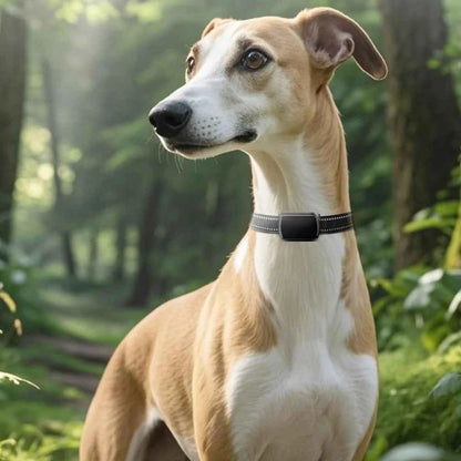 Pet GPS Tracker with Adjustable Collar Smart Pet Locator Cat Tracker for Dogs and Cats