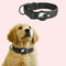 Black For Dogs
