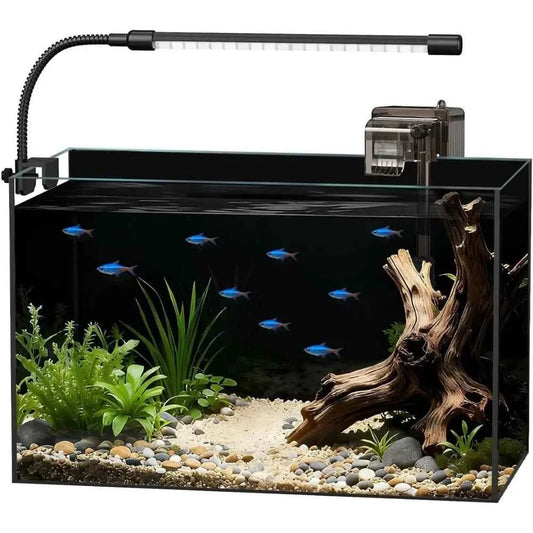 5-Gallon Glass Aquarium Starter Kit – LED Light, Filter & Lid for Betta, Shrimp & Small Fish